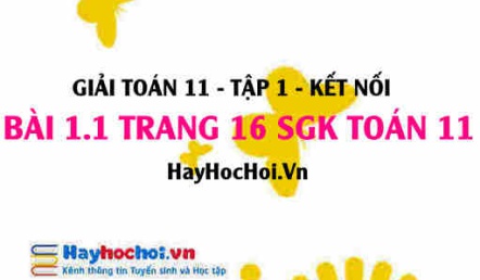 Giải bài 1.1 trang 16 Toán 11 tập 1 SGK Kết nối tri thức